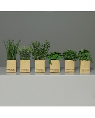 Ierburi decorative in punga, verde, 13-23 cm - SIMONA'S COOKSHOP